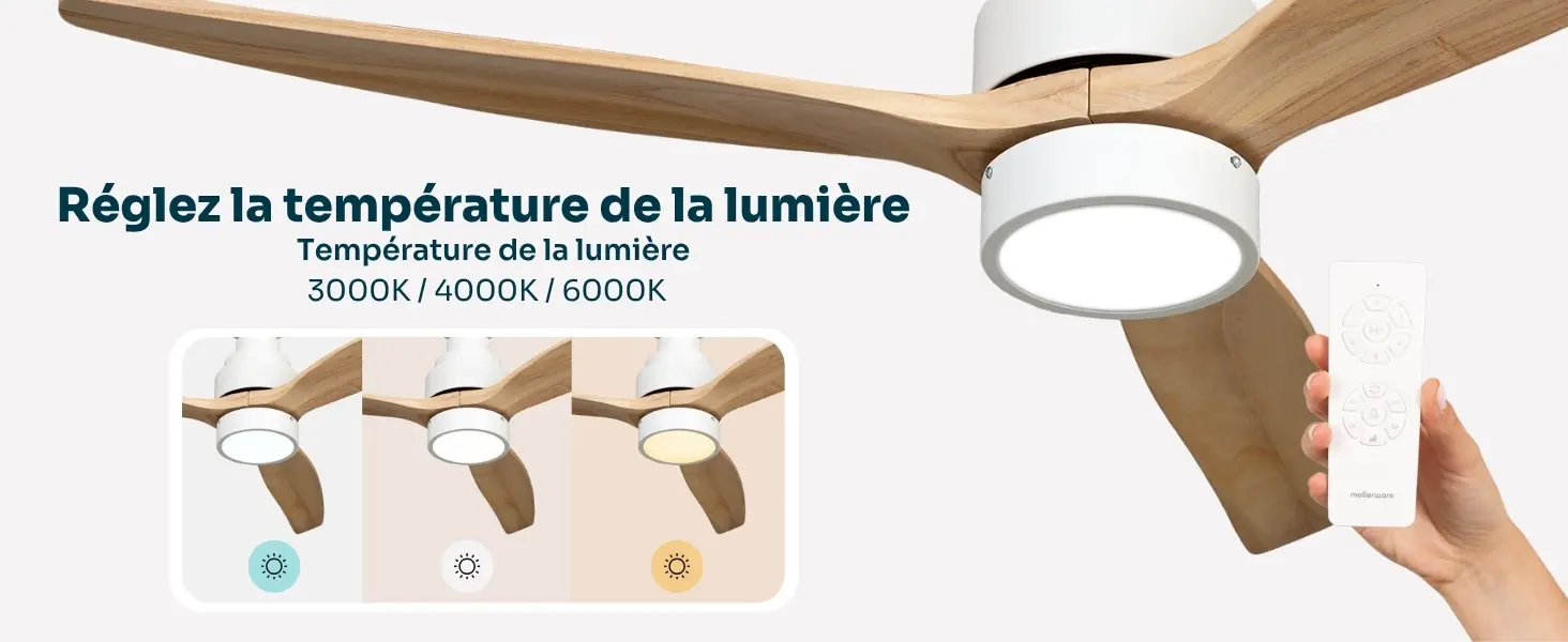 Mellerware - Ventilateur de plafond avec télécommande Brizy! — contenu détaillé 4