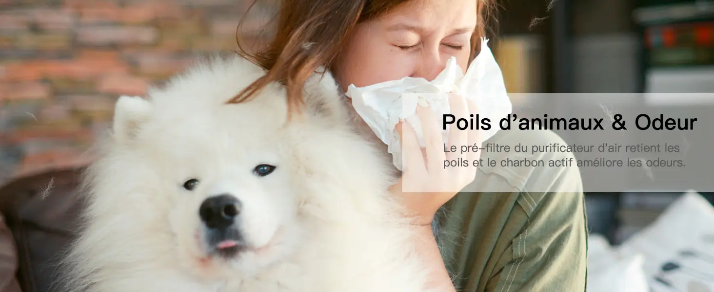 AIRTOK Purificateur d'Air, H13 HEPA Purificateur éliminant — contenu détaillé 3
