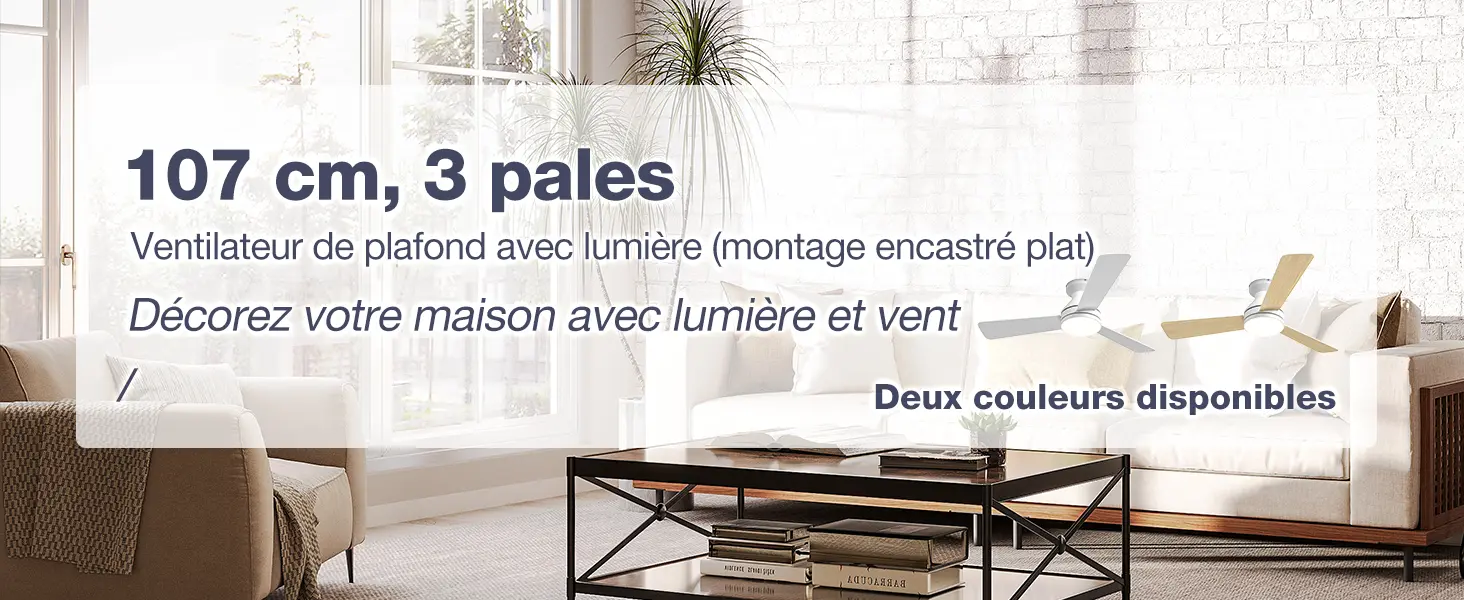 Passky Ventilateur de plafond avec lumière silencieux 107cm, — contenu détaillé 2