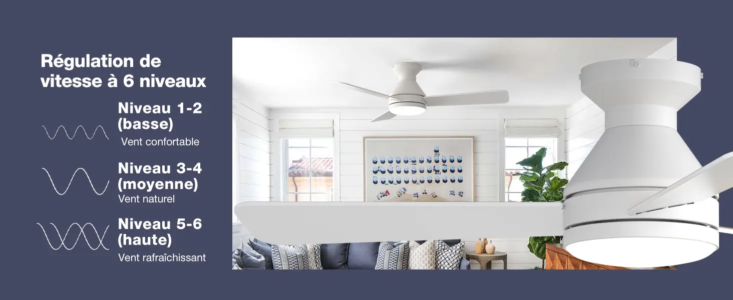 Passky Ventilateur de plafond avec lumière silencieux 107cm, — contenu détaillé 4