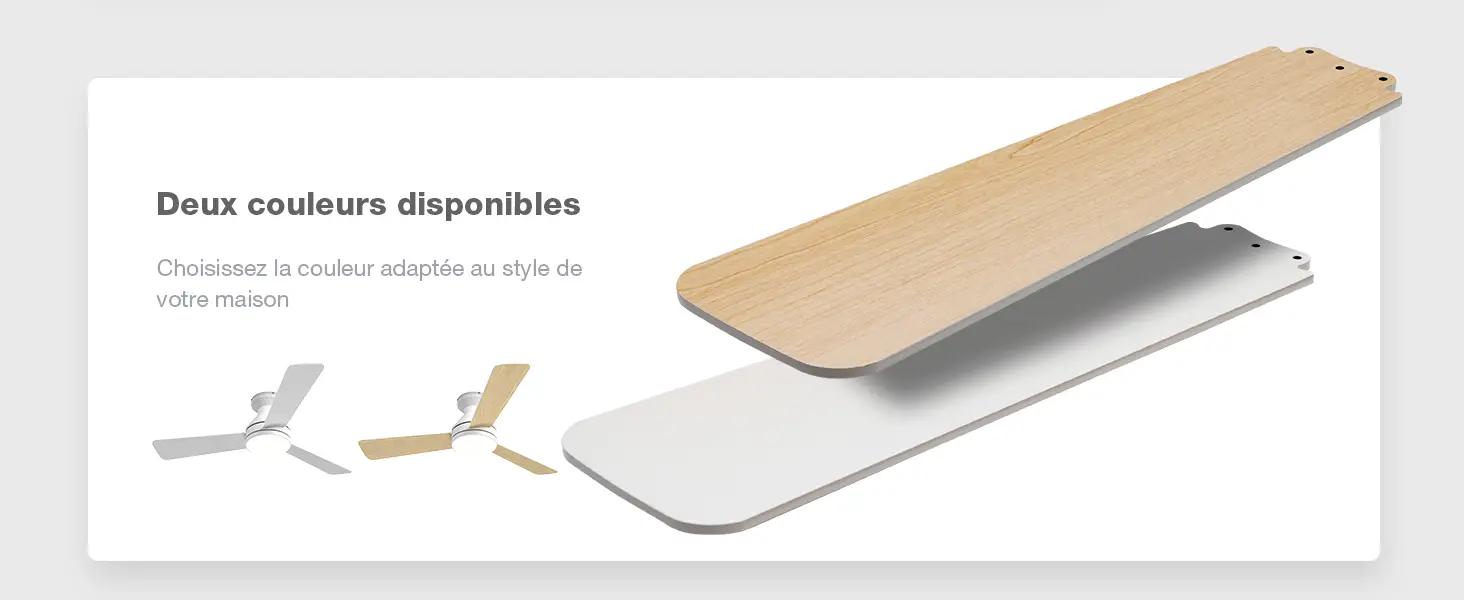 Passky Ventilateur de plafond avec lumière silencieux 107cm, — contenu détaillé 13