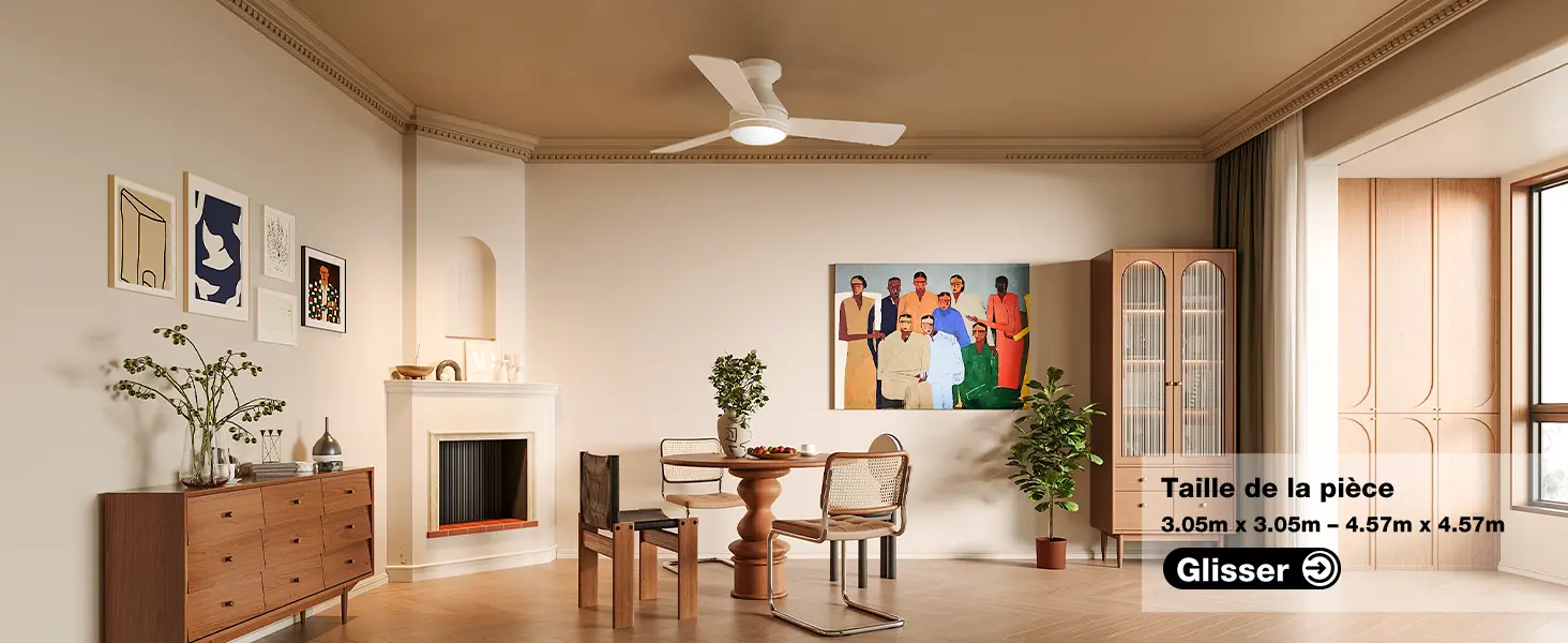 Passky Ventilateur de plafond avec lumière silencieux 107cm, — contenu détaillé 18