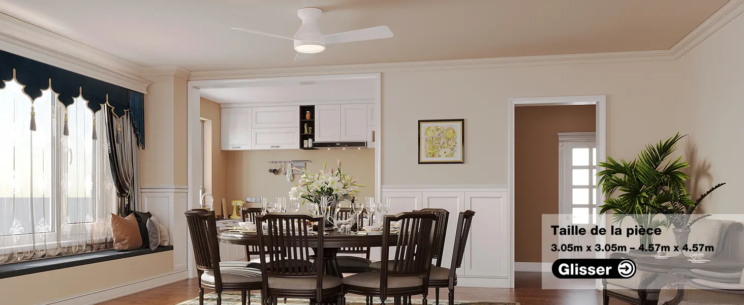 Passky Ventilateur de plafond avec lumière silencieux 107cm, — contenu détaillé 20