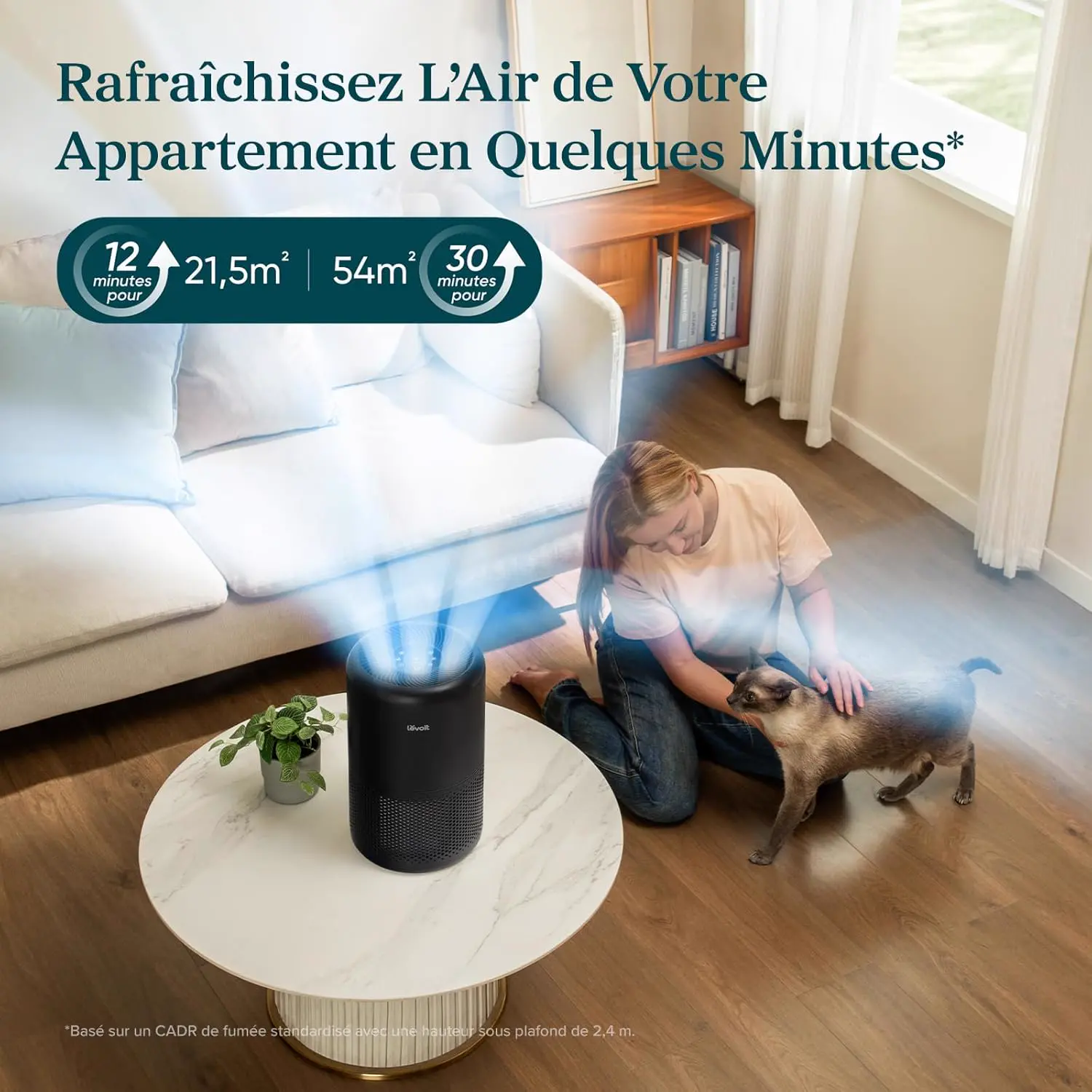 LEVOIT Purificateur d'air avec filtre HEPA, débit d'air de 258 vue 7