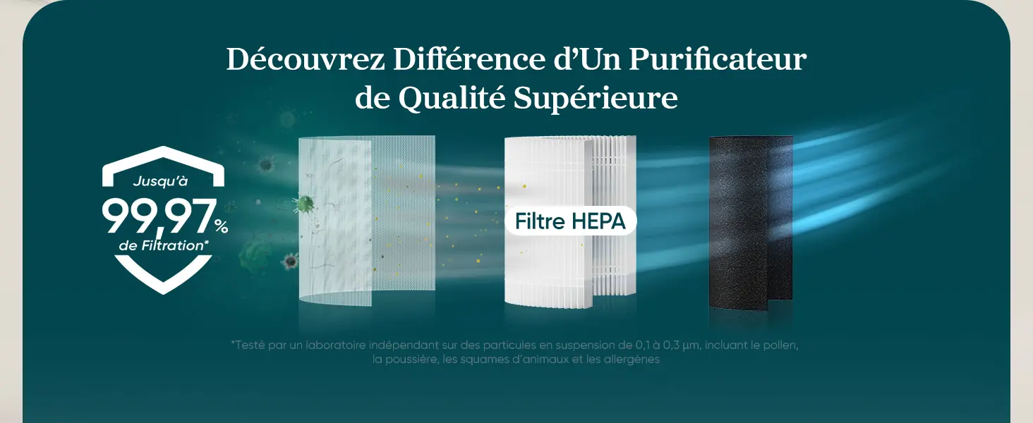 LEVOIT Purificateur d'air avec filtre HEPA, débit d'air de 258 — contenu détaillé 8