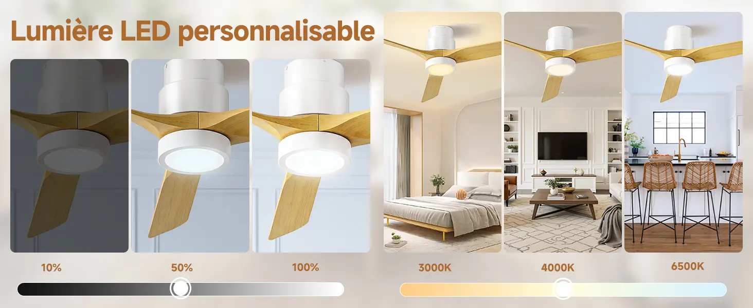 Ateroll Ventilateur Plafond Silencieux, Ventilo Plafond Avec — contenu détaillé 4