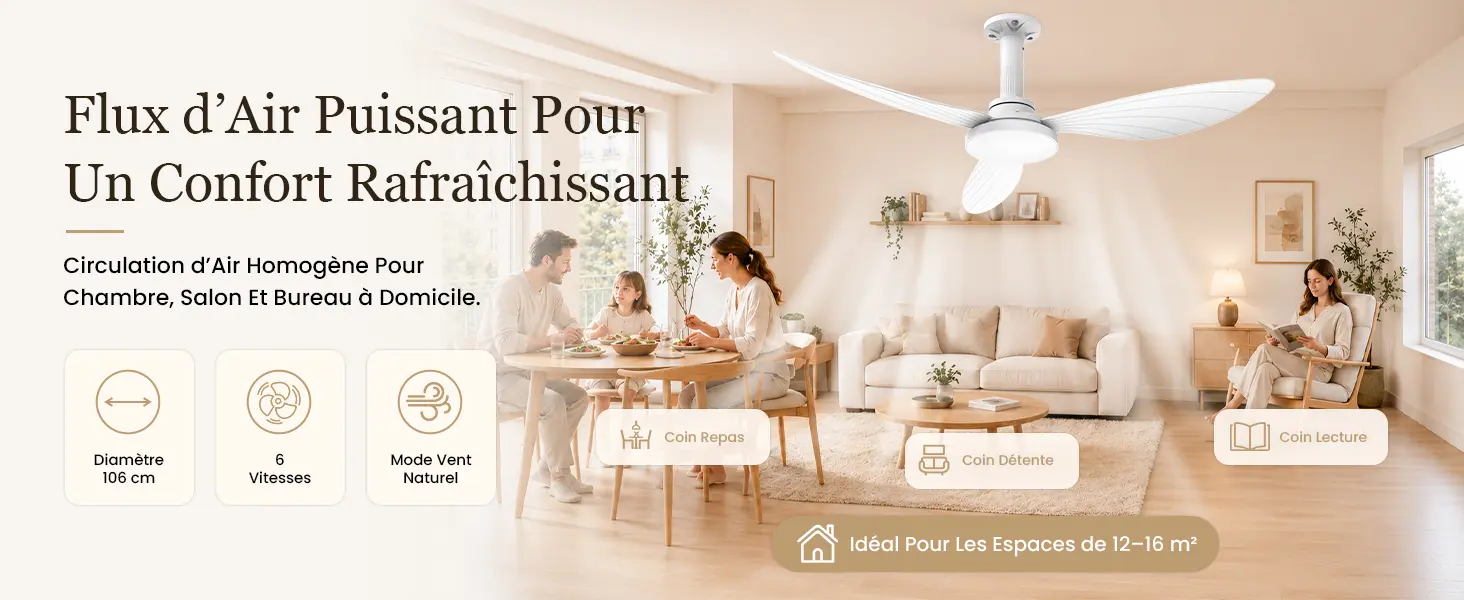 Hisummer 106cm Ventilateur Plafond avec Lumiere, Connexion E27 — contenu détaillé 5